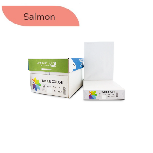 American Eagle 8.5" x 11" Color Copy Paper, 20 lbs., Salmon, 500 Sheets/Ream (47780501)