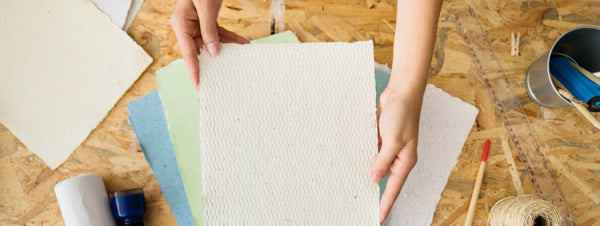 Hammermill Collection