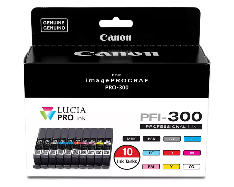 Canon Genuine PFI-300 10-Color Ink Value Pack (4192C007)