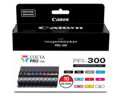 Canon Genuine PFI-300 10-Color Ink Value Pack (4192C007)