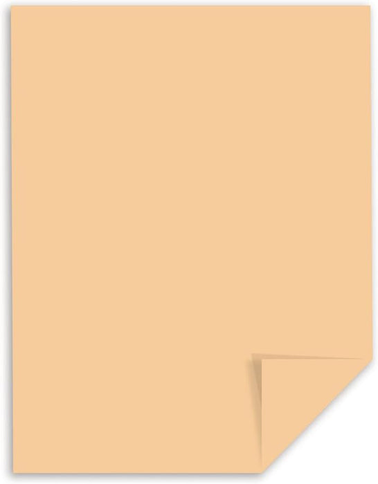 Neenah Exact Vellum Bristol, 8.5" x 11", 67 lb/147 GSM, Tan, 250 Sheets (82381)