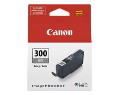 Canon Genuine PFI-300 Gray Ink Tank (4200C002)