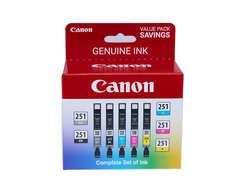 Canon Genuine CLI-251 Gray, Black, Cyan, Magenta & Yellow 5 Ink Pack (6513B011)